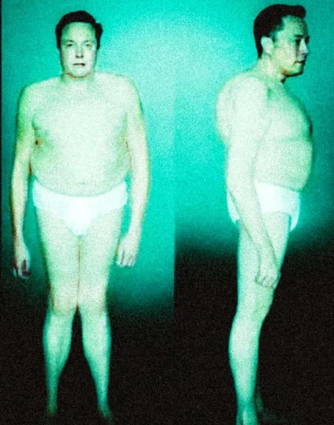 Mysterious Alien Creature